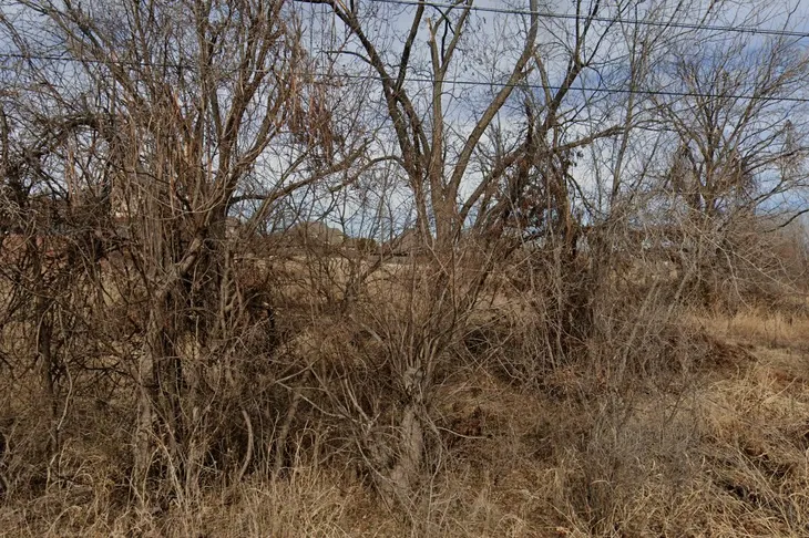 Edmond East Animal Hospital