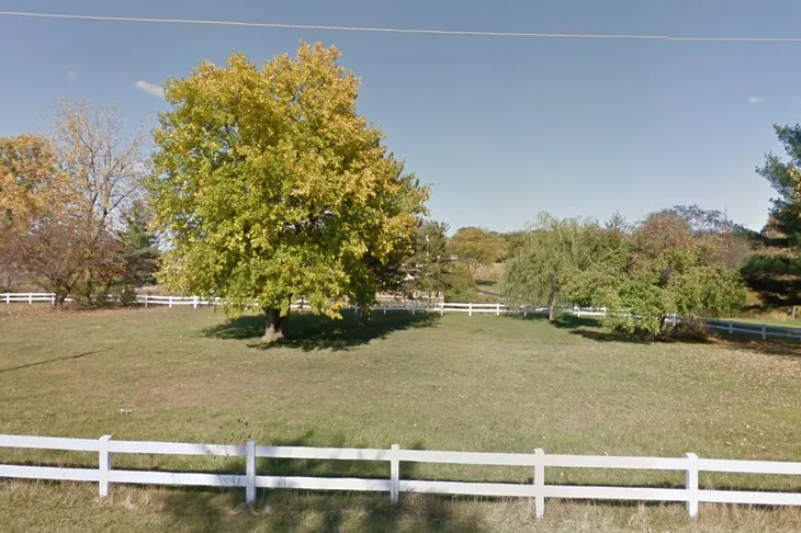 Bryan Area Animal Hospital