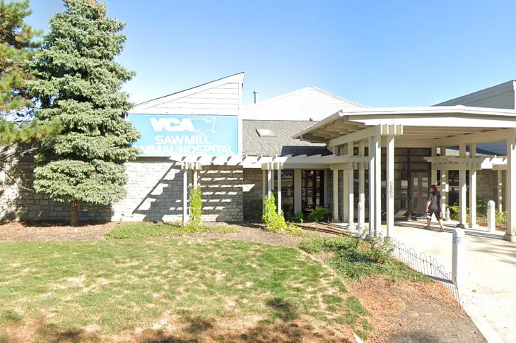 VCA Sawmill Animal Hospital
