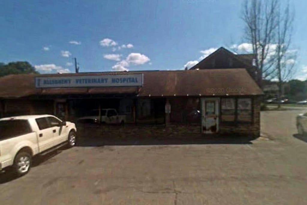 Allegheny Veterinary Hospital
