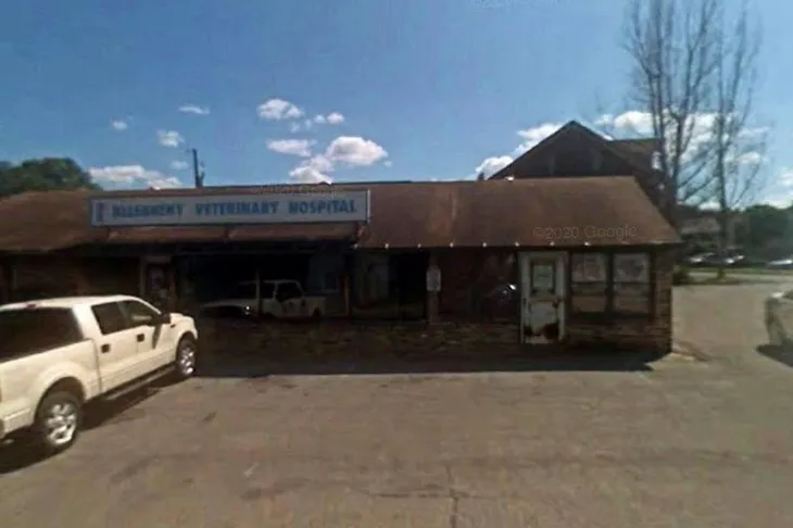 Allegheny Veterinary Hospital