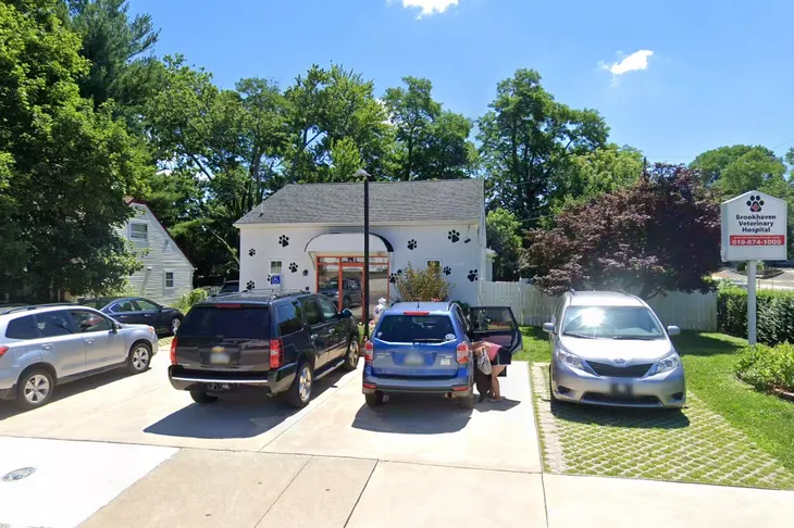Brookhaven Veterinary Hospital