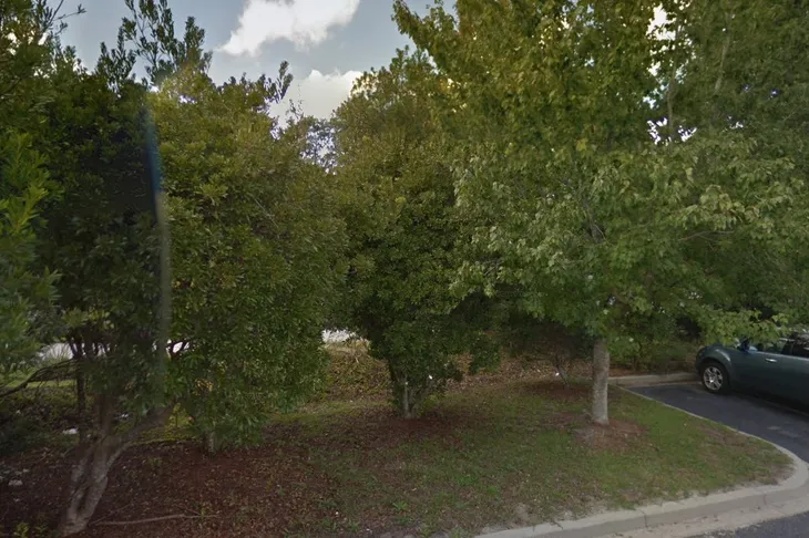 Companion Animal Hospital of Blythewood
