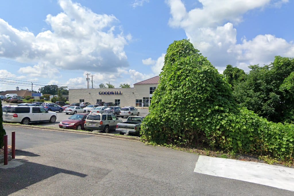 Goodwill Forest