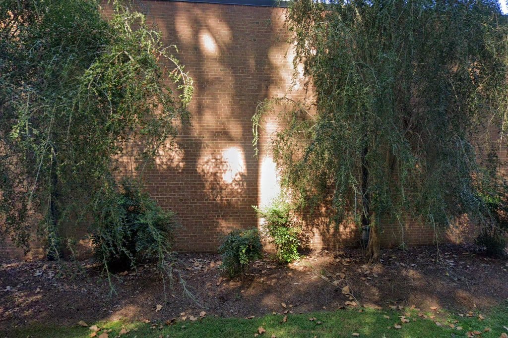 Walter Cecil Rawls Library