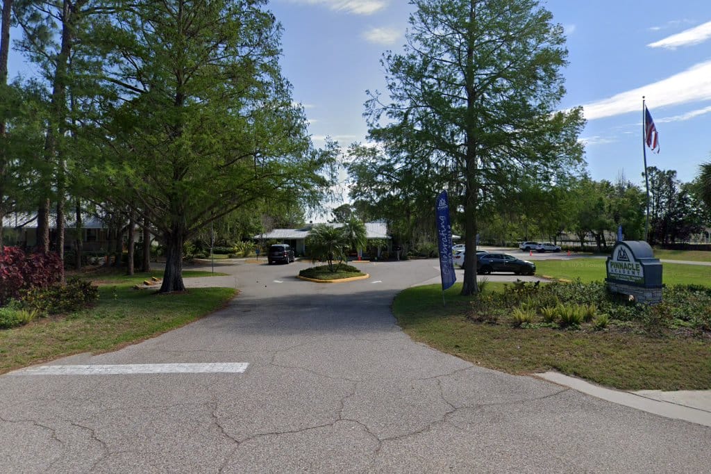 Pinnacle Academy