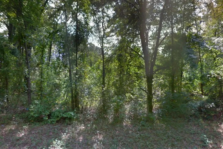 Tiger Creek Wildlife Refuge