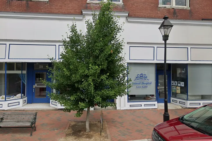 Church Hill Animal Hospital