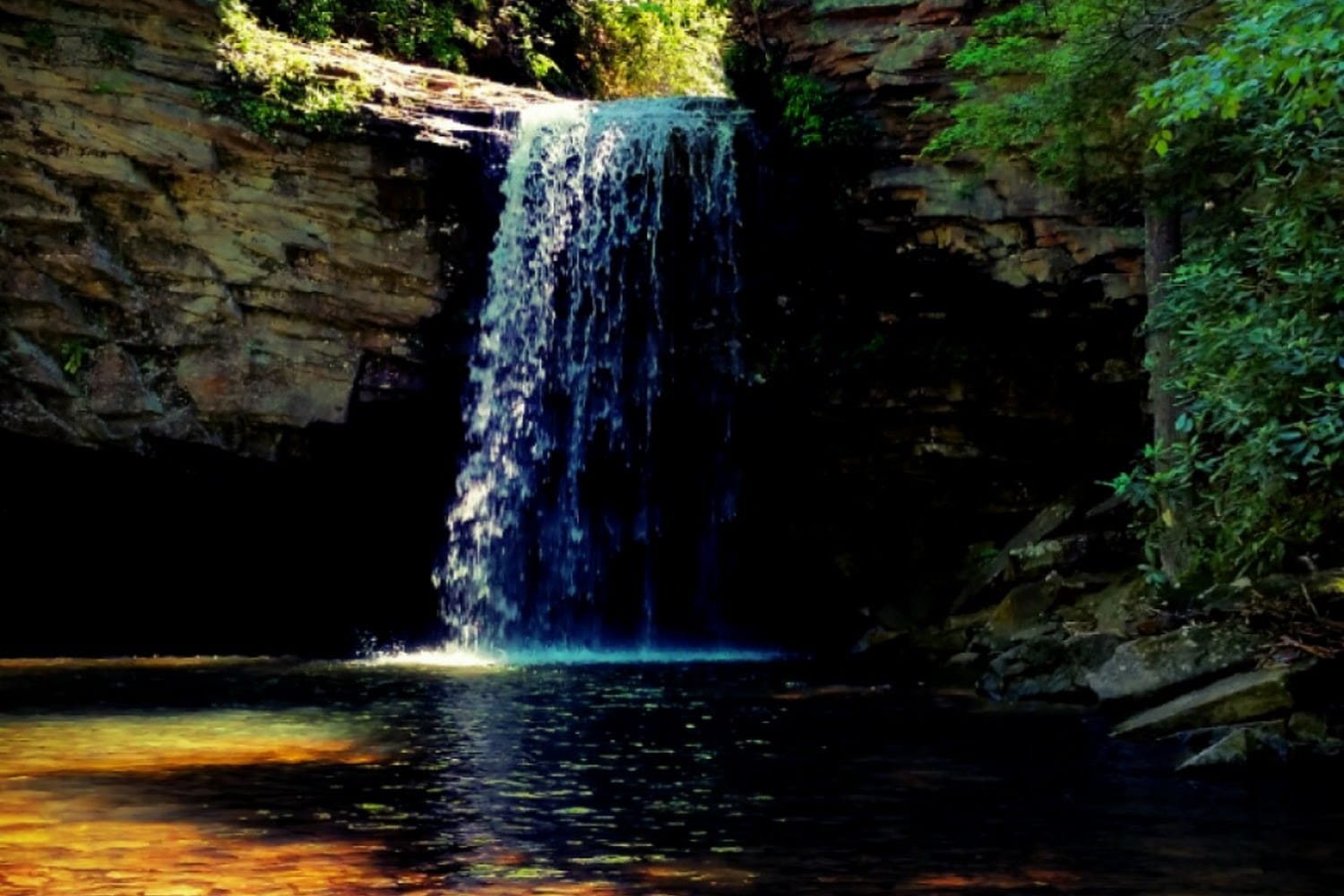 PAWS of Southwest Virginia, Inc.