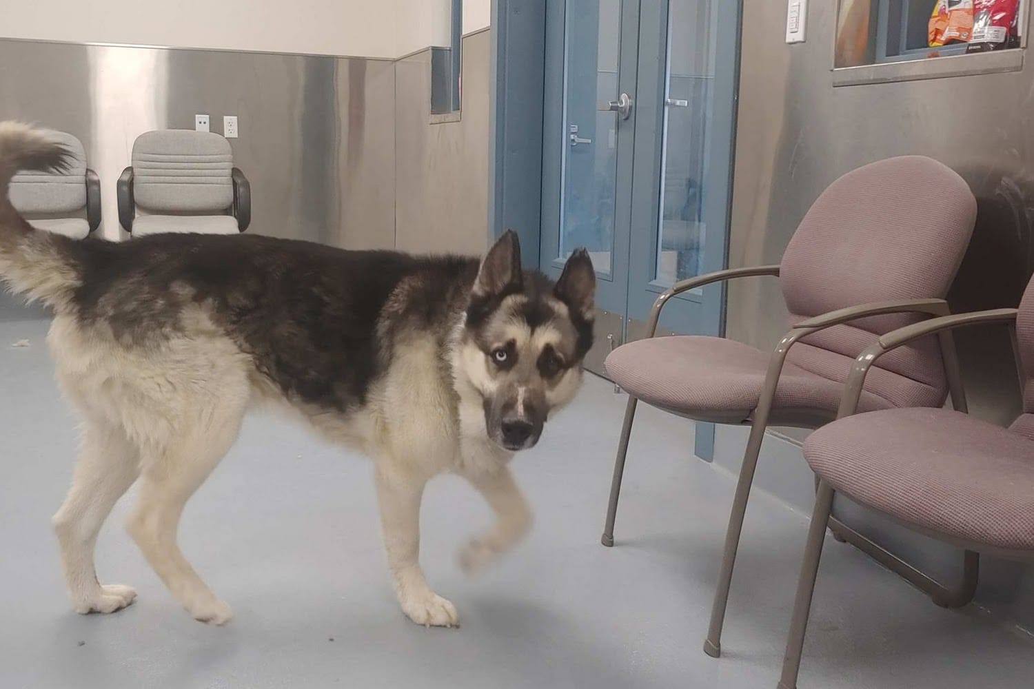 Lyon County Animal Shelter