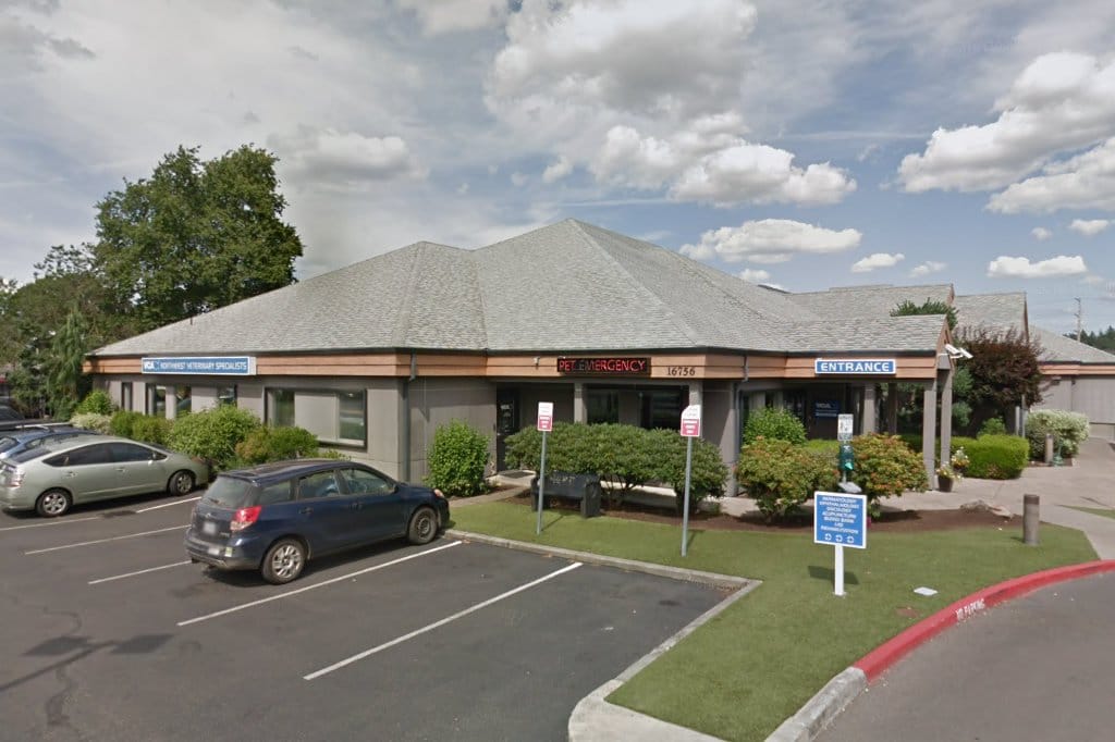Northwest Veterinary Speclsts