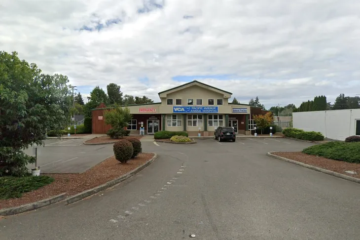VCA Pacific Avenue Animal Hospital