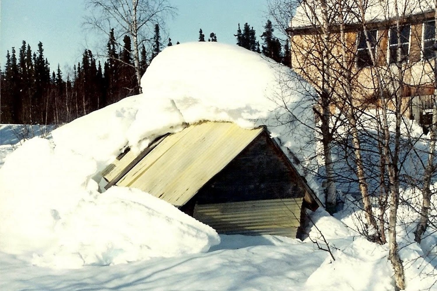 Trapper Creek DMV Office