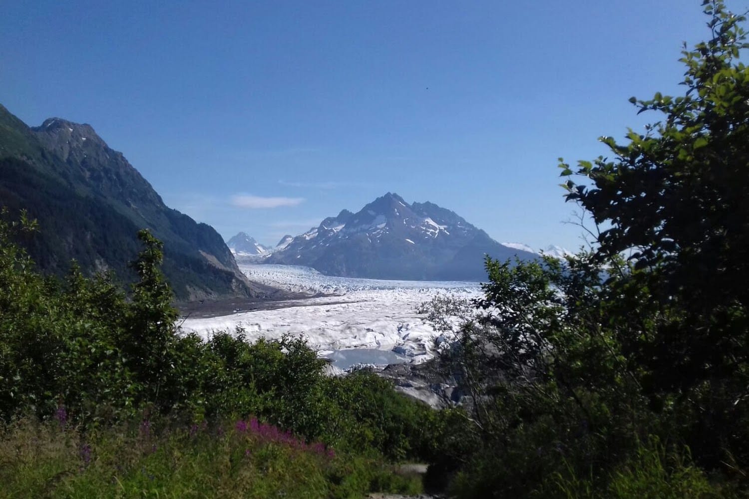 passport-office-in-cordova-ak-the-county-office