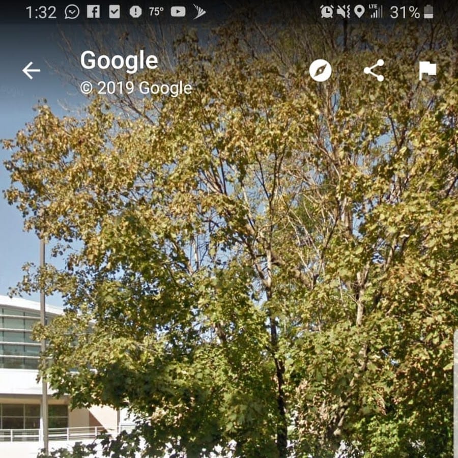 Bruce F Vento Elementary School