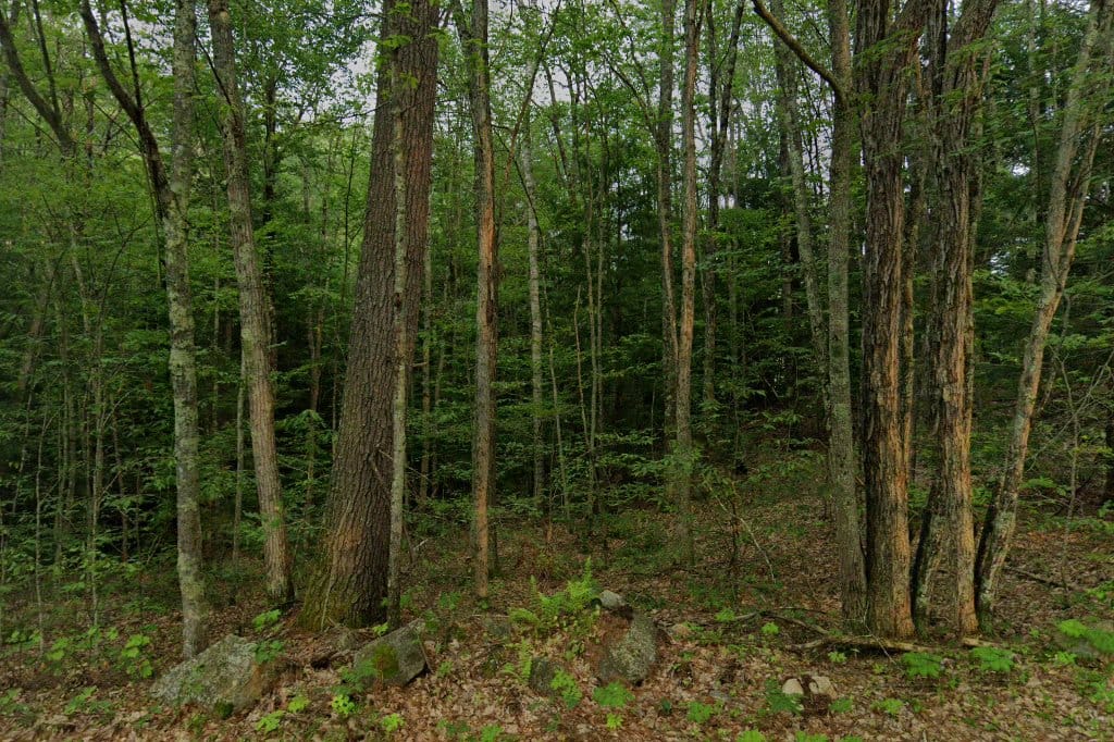 Burnham Brook School