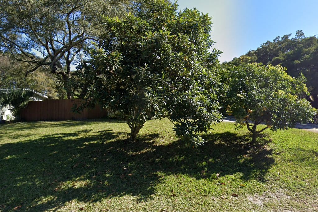 Fernandina Beach High School