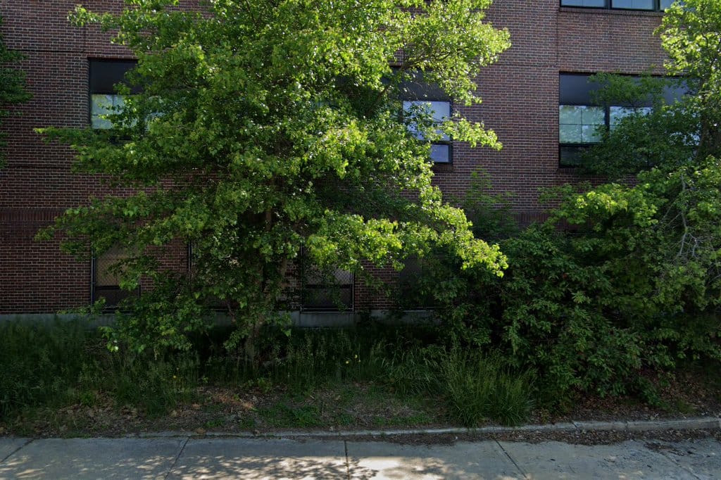 St Elizabeth Seton School
