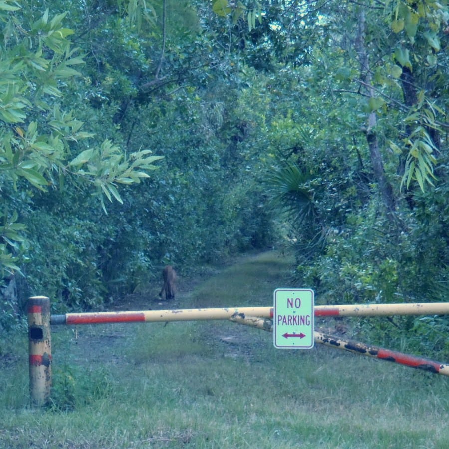 Big Cypress Wilderness Institute School
