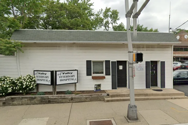 Valley Veterinary Hospital