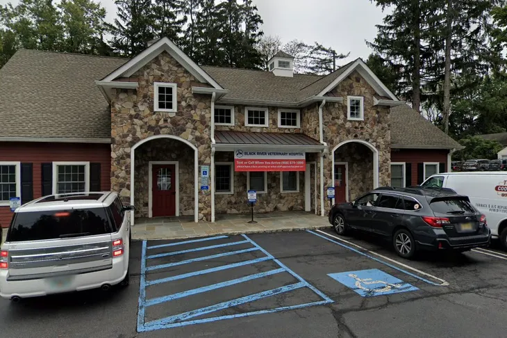 Black River Veterinary Hospital
