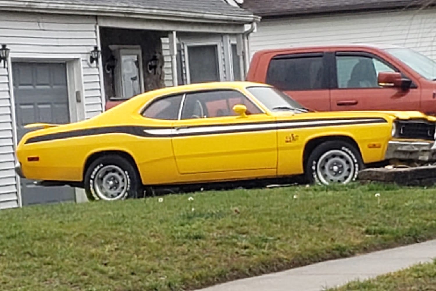 Animal Shelters in Williamstown, NJ Pets TheCountyOffice