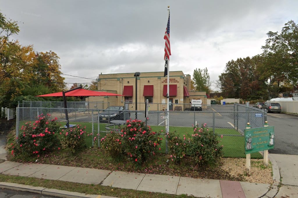 Woodbridge Animal Shelter in Woodbridge, NJ Pets TheCountyOffice