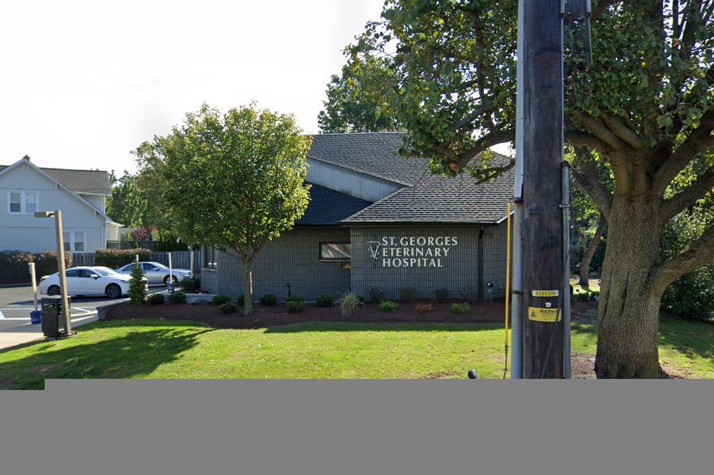 St Georges Veterinary Hospital