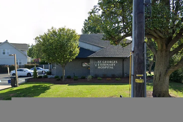 St Georges Veterinary Hospital