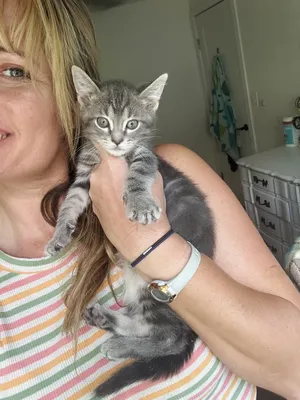 Dickens (bottle baby) watch VIDEO
