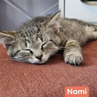 Nami