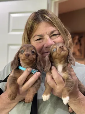 Hans & Lisel