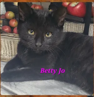 Betty Jo