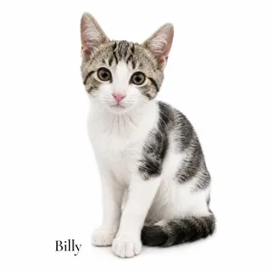 Billy