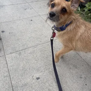 Roxy