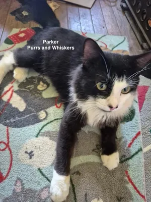 Parker