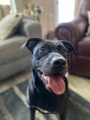 Benny (Courtesy Post)