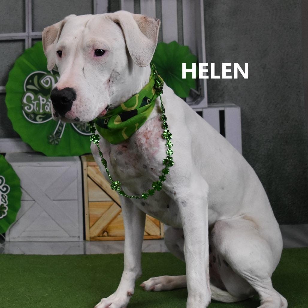 Helen