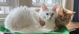 Willie & Lucky (EPI)
