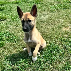 Zoe