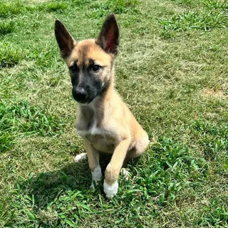 Zoe