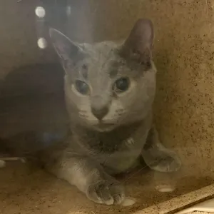 Margo