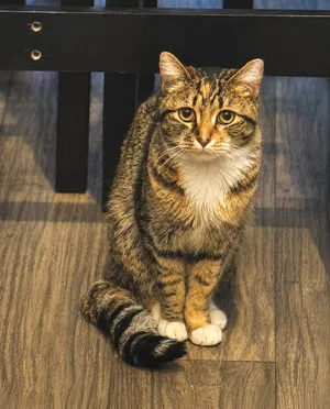 Stella Watson