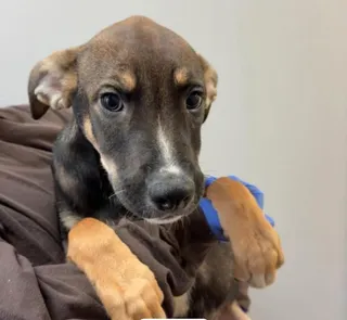 Zion