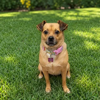 Oakley