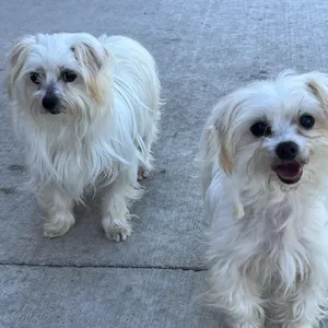 Ashley & Kate (BONDED)