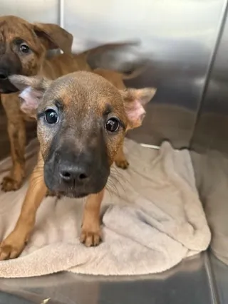 WITHERSPOON