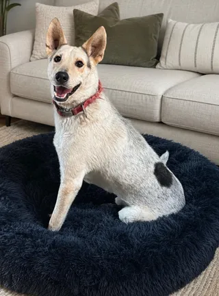 Jax