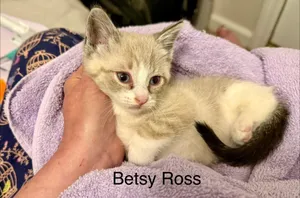 Betsy Ross