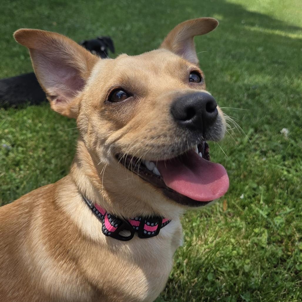 Frida